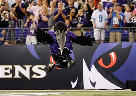 Ravens mascot getting hurt video